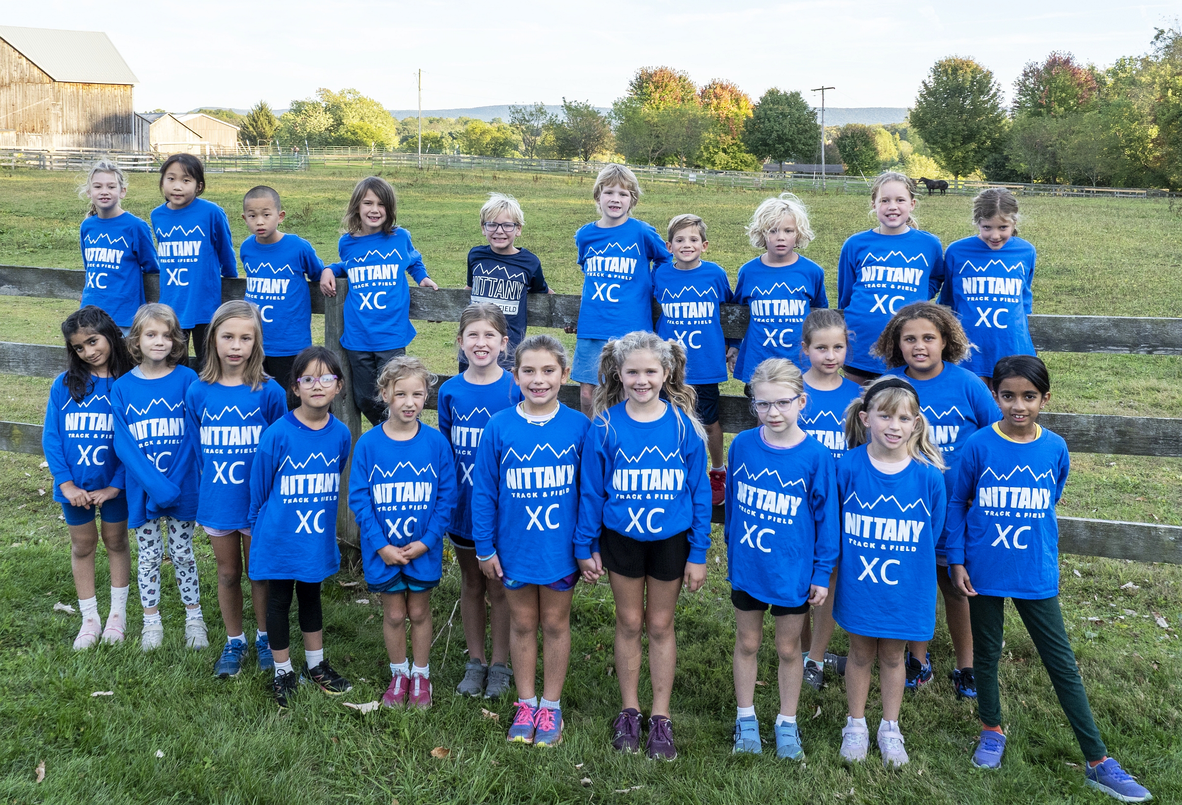NTF primary group